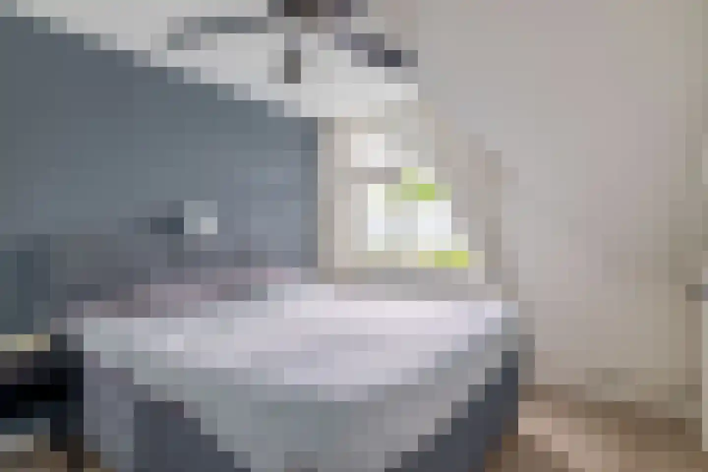 Schout Diercxlaan 6 Nuenen thumbnail 4