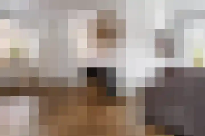 Schout Doddestraat 24 Vriezenveen thumbnail 10