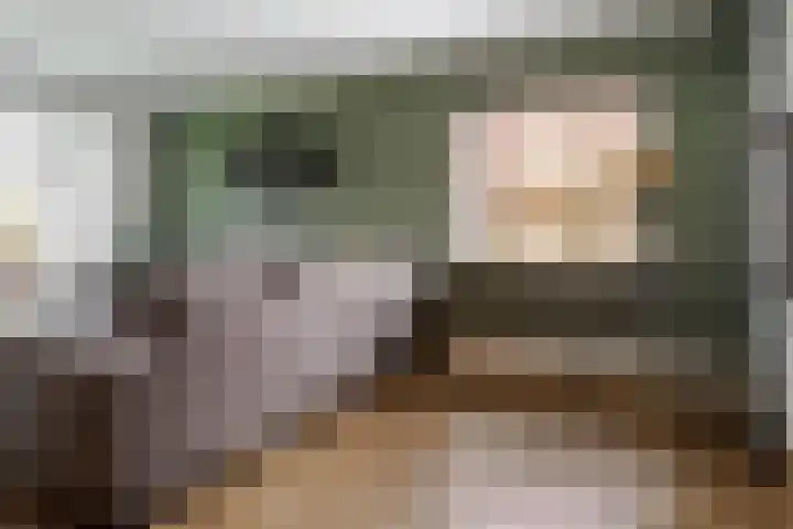 Schout Doddestraat 24 Vriezenveen thumbnail 12