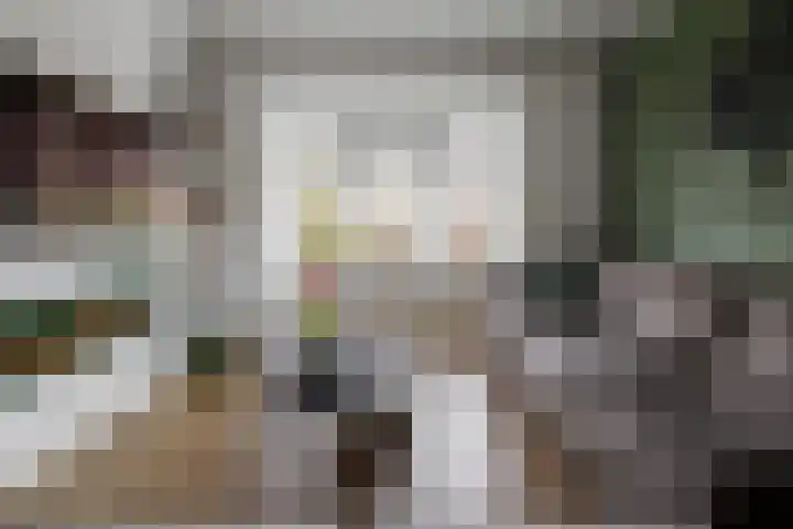 Schout Doddestraat 24 Vriezenveen thumbnail 13