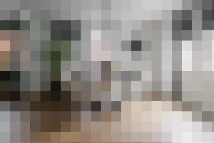 Schout Doddestraat 24 Vriezenveen thumbnail 20