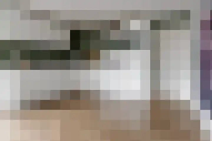 Schout Doddestraat 24 Vriezenveen thumbnail 21