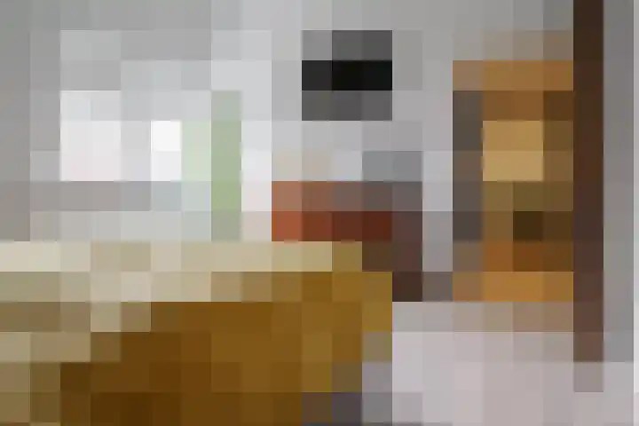 Schout Doddestraat 24 Vriezenveen thumbnail 33