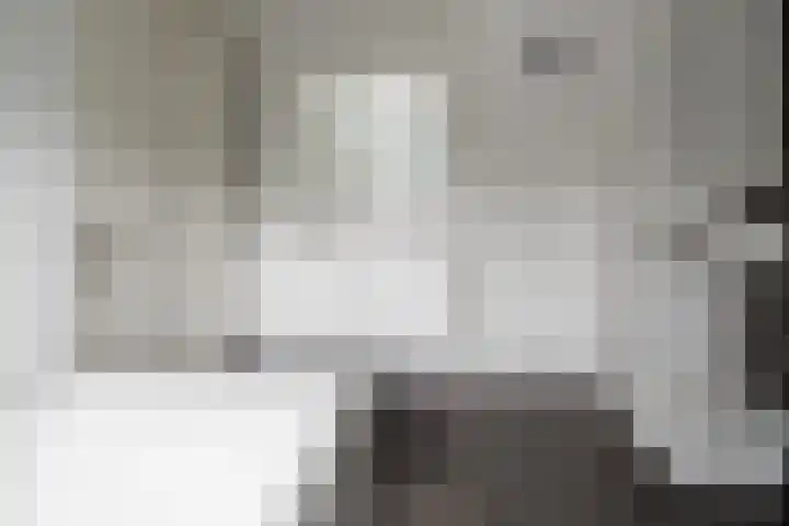 Schout Doddestraat 24 Vriezenveen thumbnail 37
