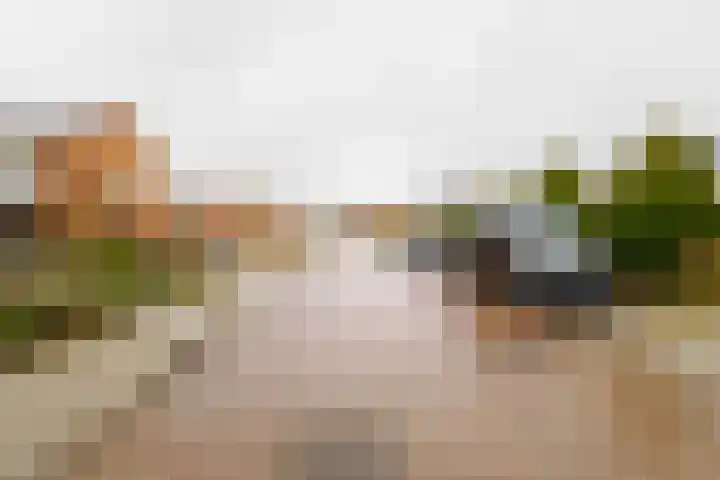 Schout Doddestraat 24 Vriezenveen thumbnail 41