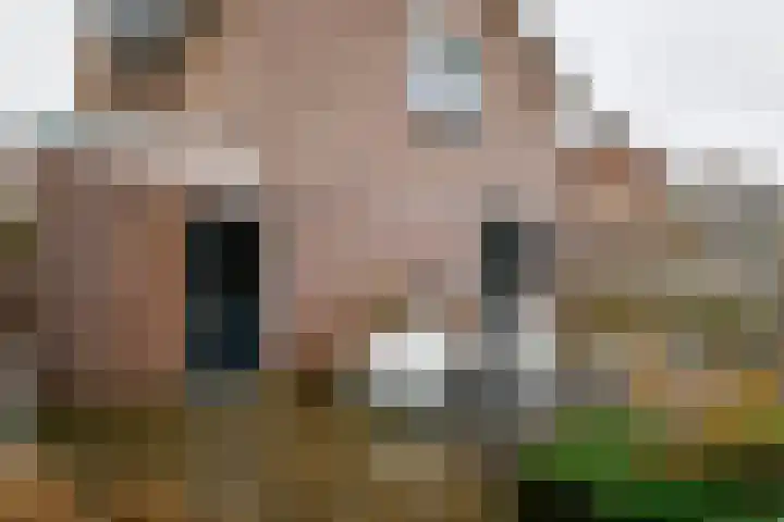 Schout Doddestraat 24 Vriezenveen thumbnail 43