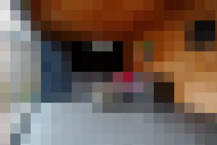 Schout Doddestraat 24 Vriezenveen thumbnail 47