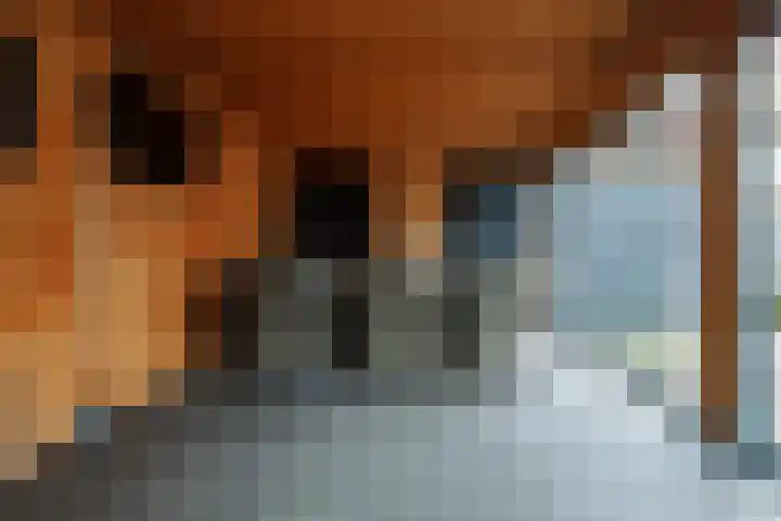 Schout Doddestraat 24 Vriezenveen thumbnail 48
