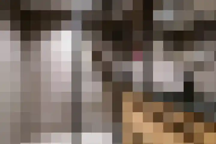 Schout Doddestraat 24 Vriezenveen thumbnail 50