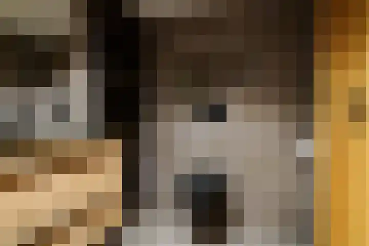 Schout Doddestraat 24 Vriezenveen thumbnail 51