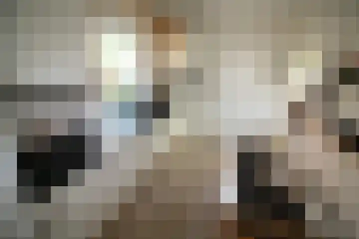 Schout Doddestraat 40 Vriezenveen thumbnail 10