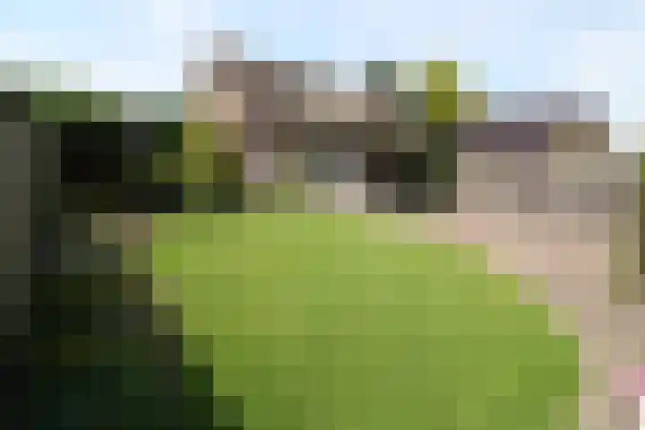 Schout Doddestraat 40 Vriezenveen thumbnail 28