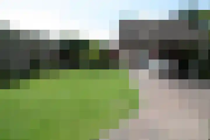 Schout Doddestraat 40 Vriezenveen thumbnail 29