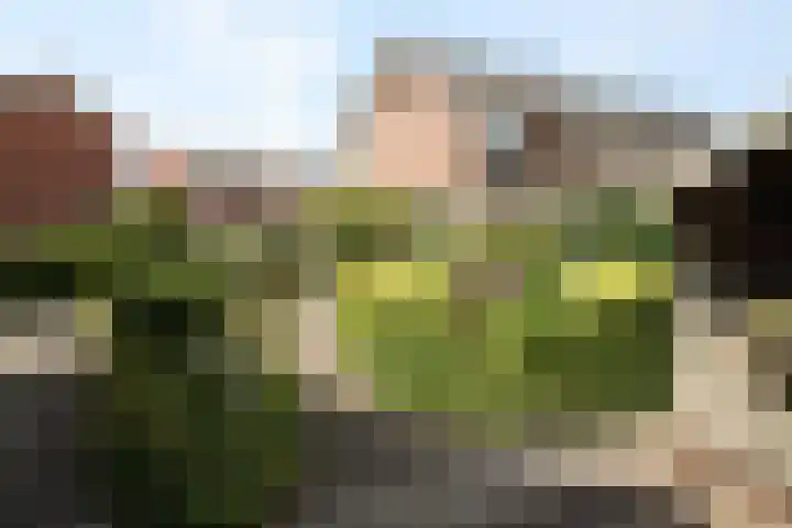 Schout Doddestraat 40 Vriezenveen thumbnail 33