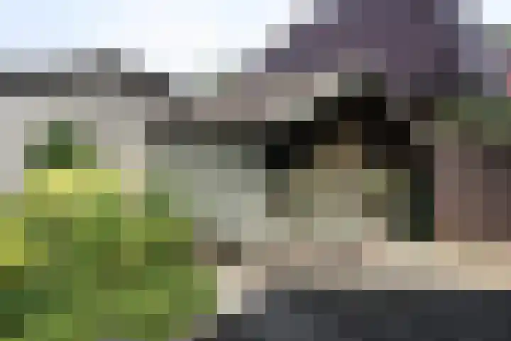 Schout Doddestraat 40 Vriezenveen thumbnail 34