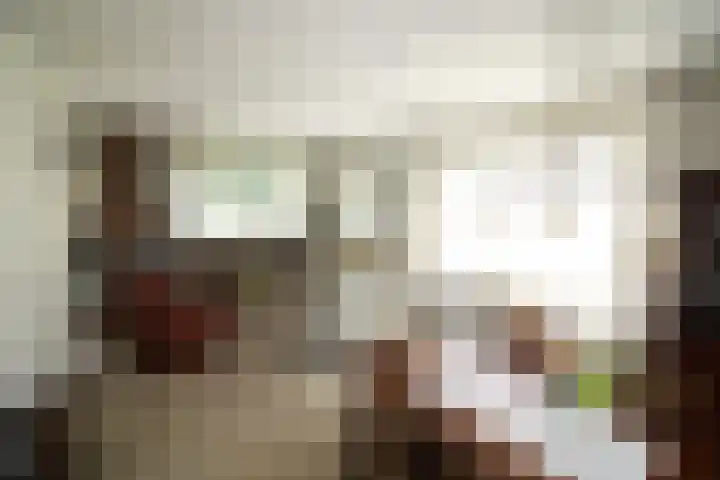 Schout Doddestraat 40 Vriezenveen thumbnail 4
