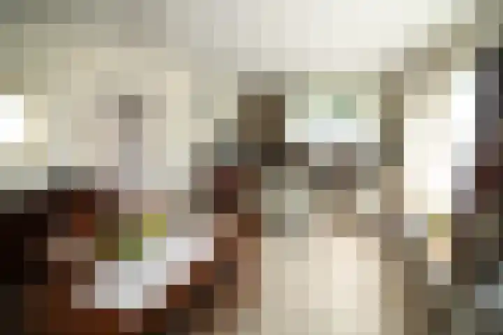 Schout Doddestraat 40 Vriezenveen thumbnail 7