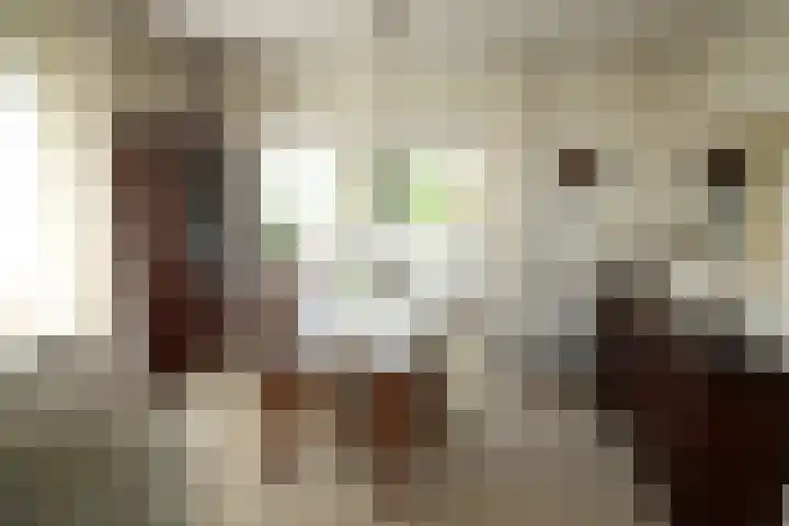 Schout Doddestraat 40 Vriezenveen thumbnail 8