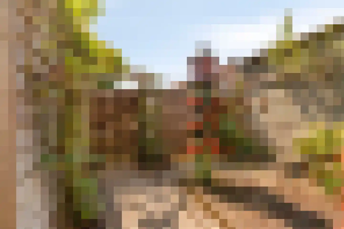 Schout Eeuwoutstraat 24 Pernis Rotterdam thumbnail 26