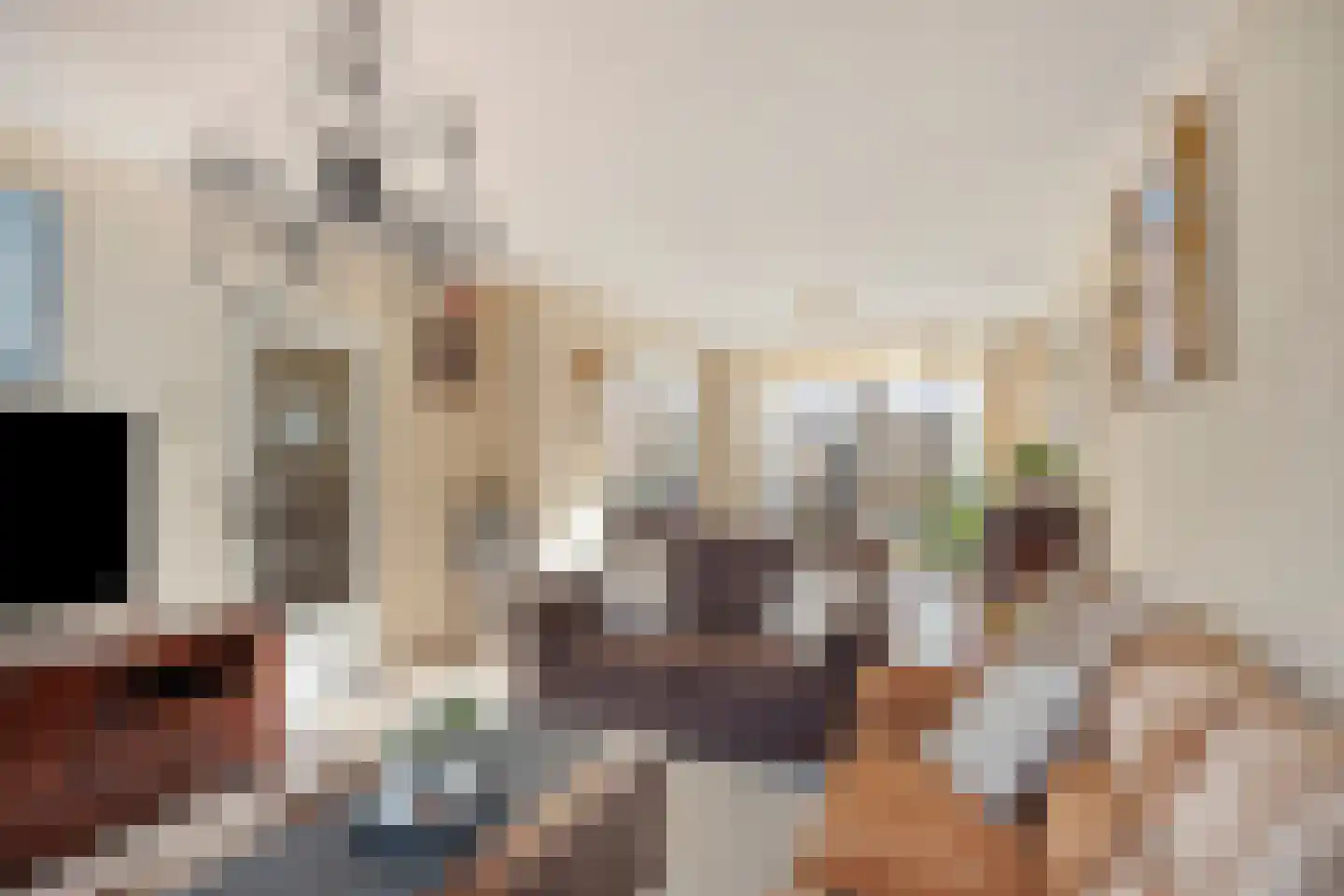Schout Eeuwoutstraat 46 Pernis Rotterdam thumbnail 17