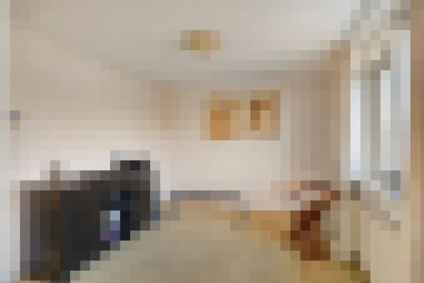 Schout Eeuwoutstraat 46 Pernis Rotterdam thumbnail 32
