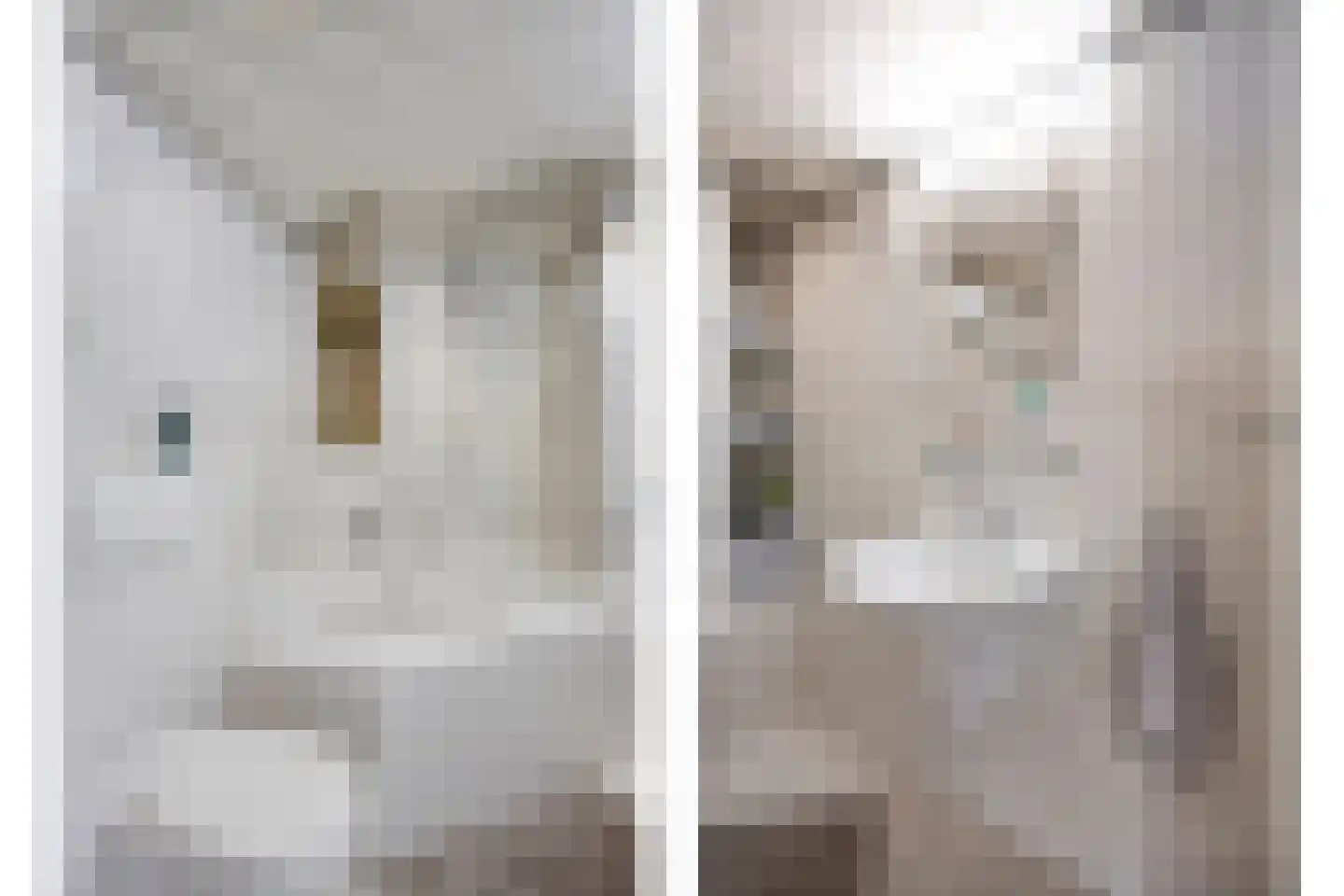 Schout Eeuwoutstraat 46 Pernis Rotterdam thumbnail 36