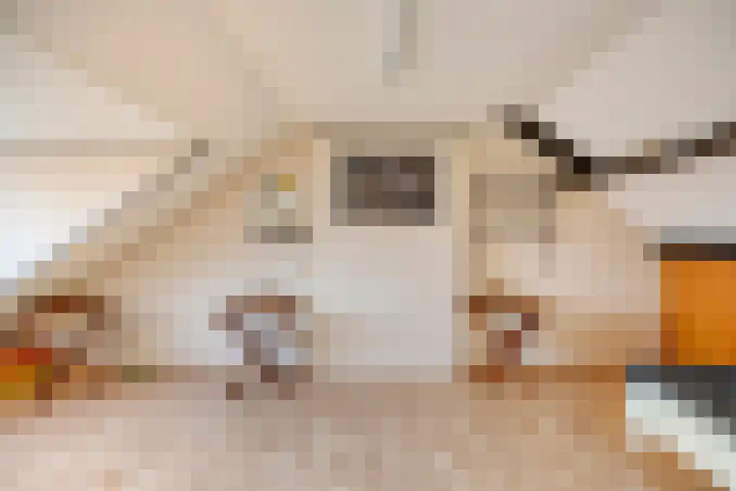 Schout Eeuwoutstraat 46 Pernis Rotterdam thumbnail 40