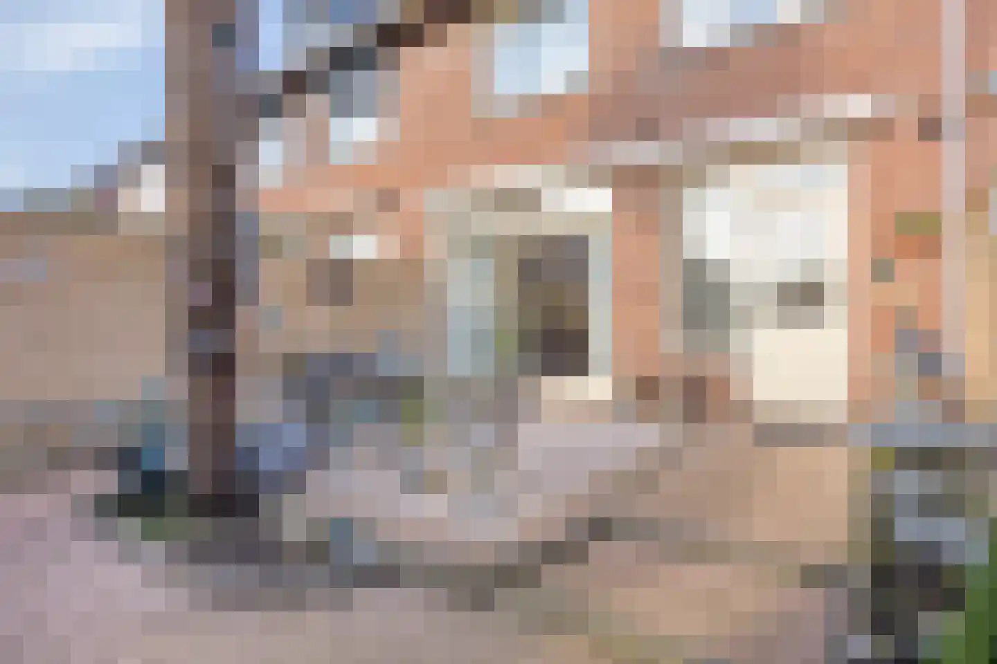Schout Eeuwoutstraat 46 Pernis Rotterdam thumbnail 42
