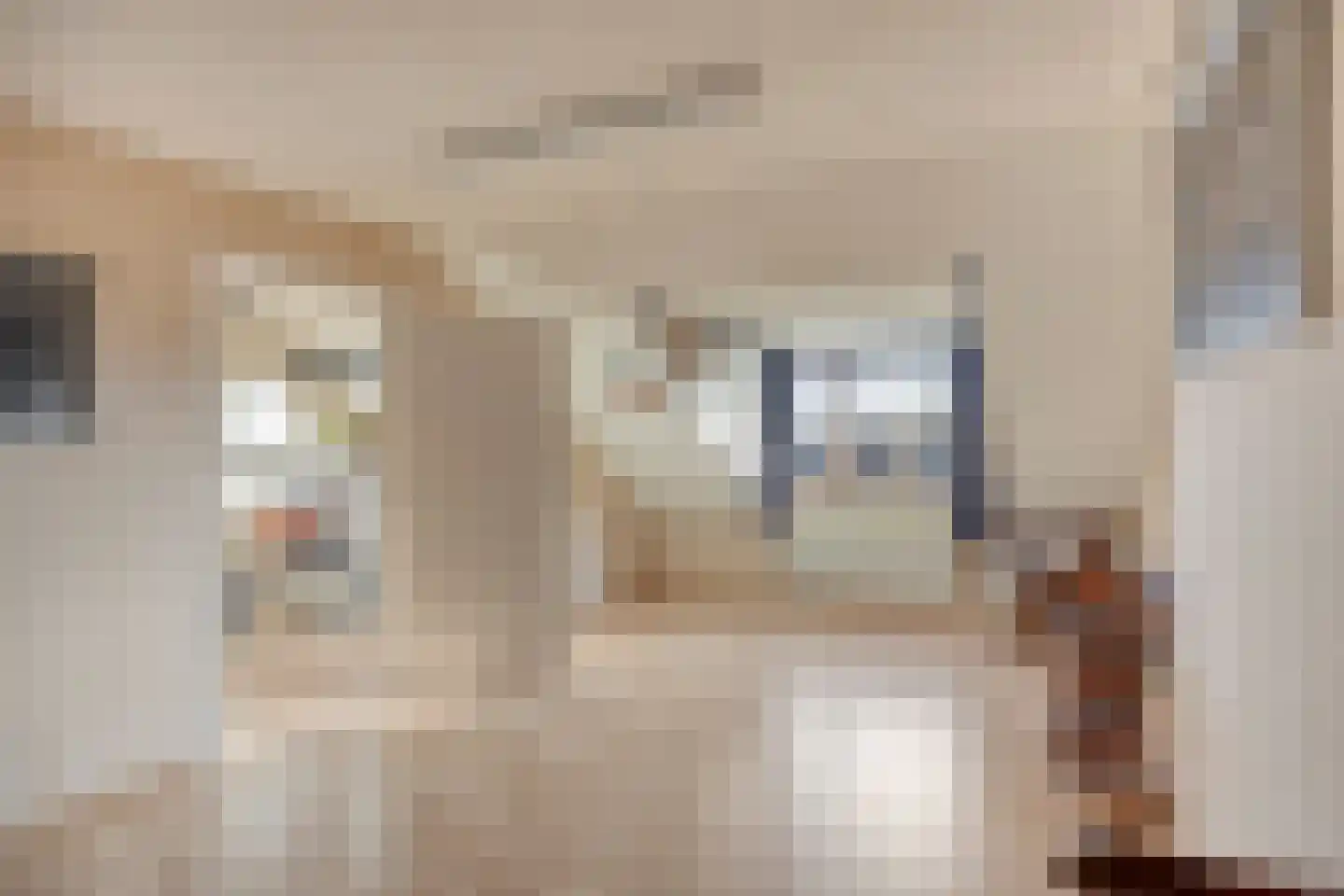 Schout Eeuwoutstraat 46 Pernis Rotterdam thumbnail 6
