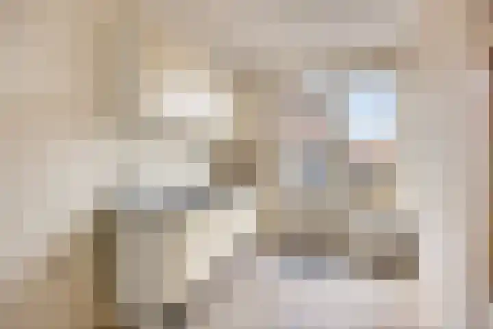 Schout Eeuwoutstraat 54 Pernis Rotterdam thumbnail 8