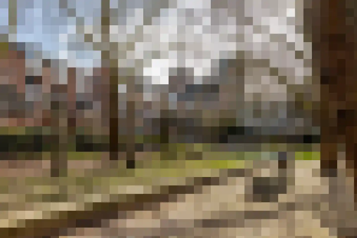 Schout Heynricstraat 40 Rotterdam thumbnail 33