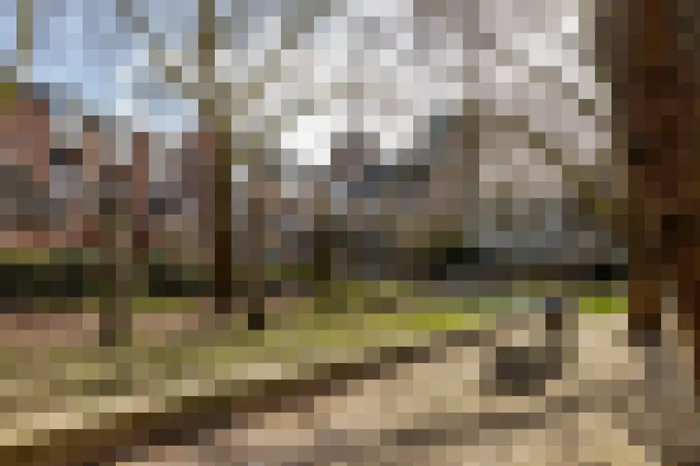 Schout Heynricstraat 40 Rotterdam thumbnail 33