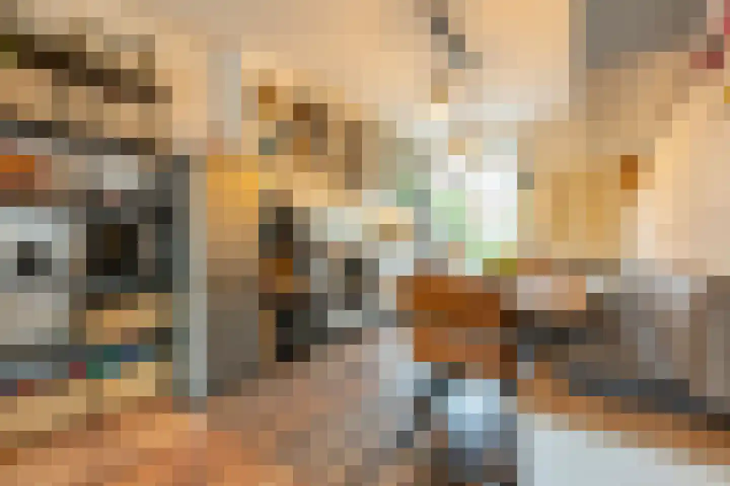 Schout Heynricstraat 48 Rotterdam thumbnail 10