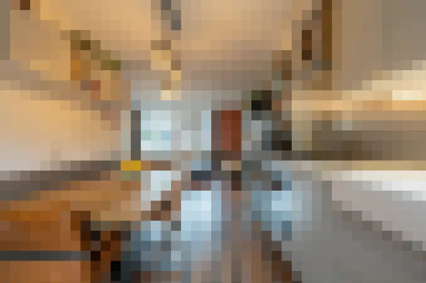 Schout Heynricstraat 48 Rotterdam thumbnail 12