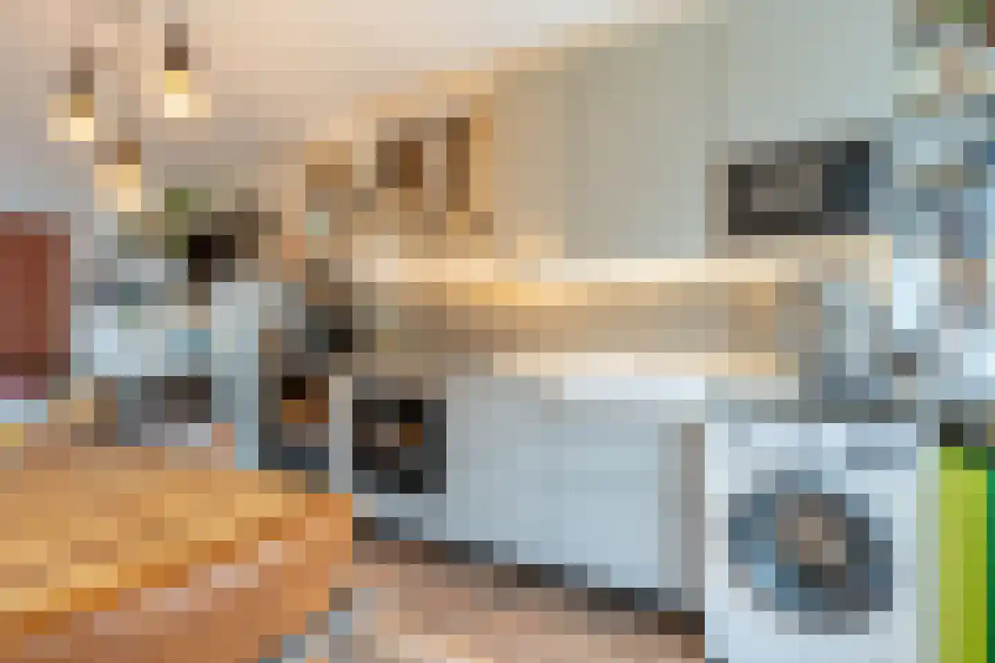 Schout Heynricstraat 48 Rotterdam thumbnail 13