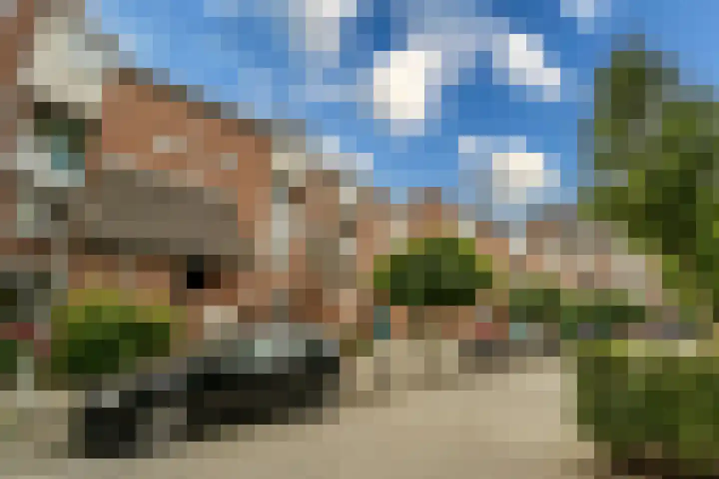 Schout Heynricstraat 48 Rotterdam thumbnail 29