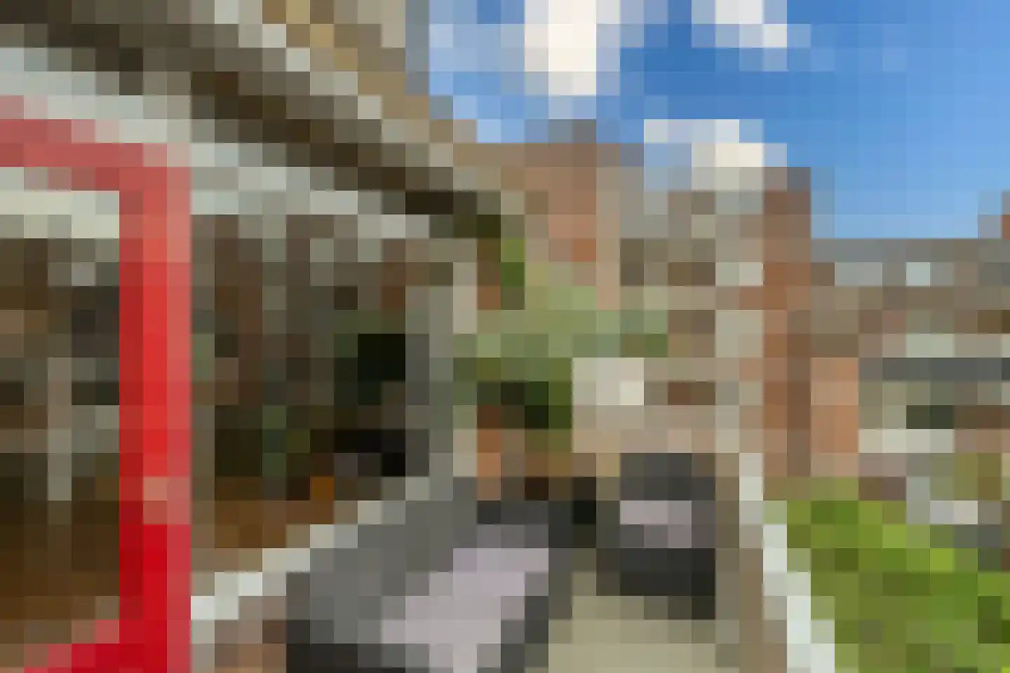 Schout Heynricstraat 48 Rotterdam thumbnail 6