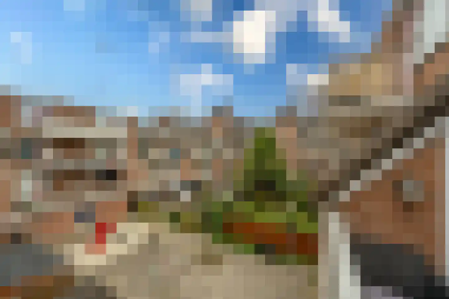 Schout Heynricstraat 48 Rotterdam thumbnail 8