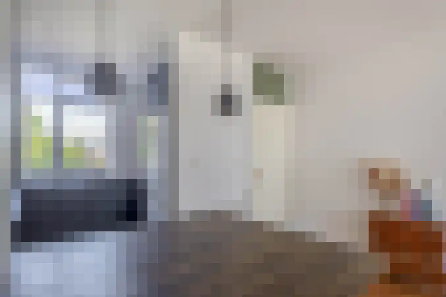 Schout Heynricstraat 50 Rotterdam thumbnail 12