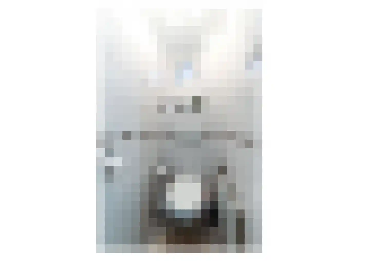 Schout Kellenerstraat 107 Roermond thumbnail 20
