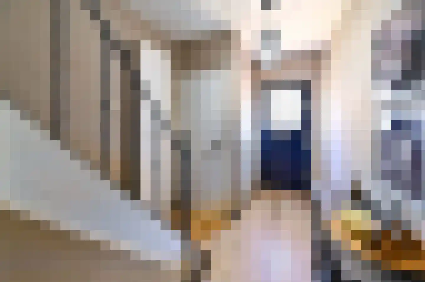 Schout Kellenerstraat 107 Roermond thumbnail 5
