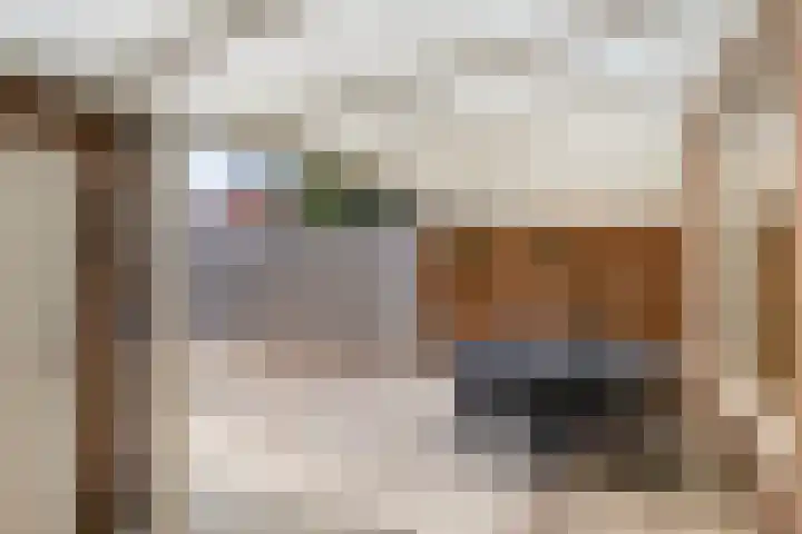 Schout Kellenerstraat 137 Roermond thumbnail 4