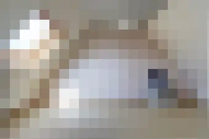 Schout Lemspad 8 Hoogvliet Rotterdam thumbnail 18