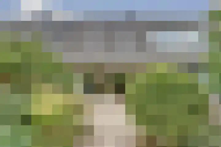 Schout Lemspad 8 Hoogvliet Rotterdam thumbnail 22