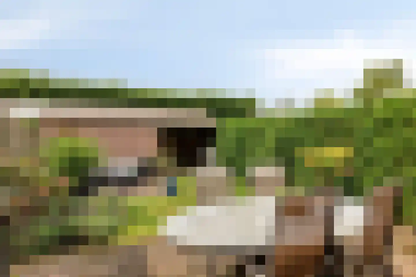 Schout Leytengaarde 24 Nuenen thumbnail 29