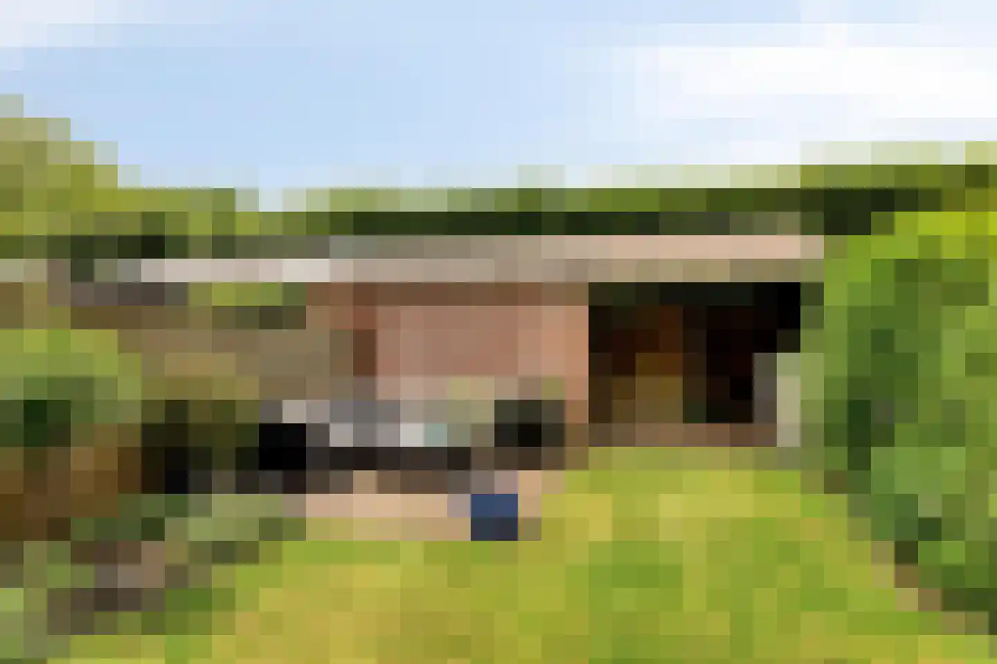 Schout Leytengaarde 24 Nuenen thumbnail 30