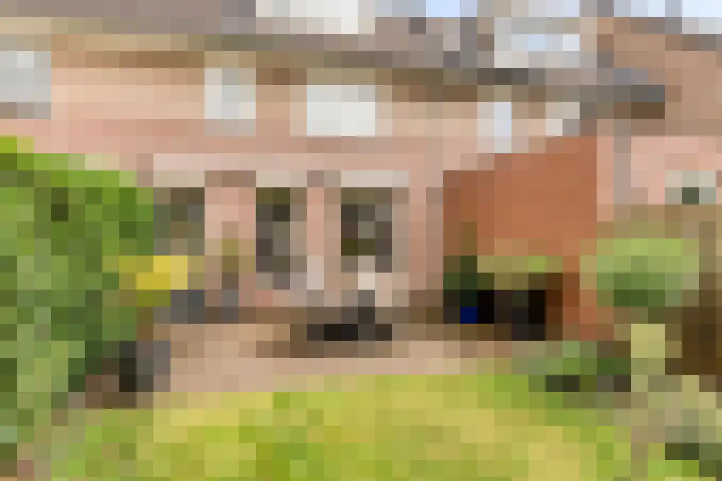 Schout Leytengaarde 24 Nuenen thumbnail 31