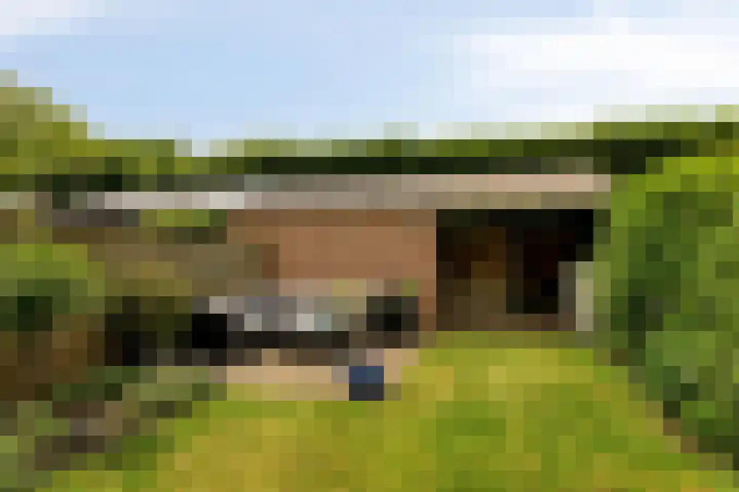 Schout Leytengaarde 24 Nuenen thumbnail 32