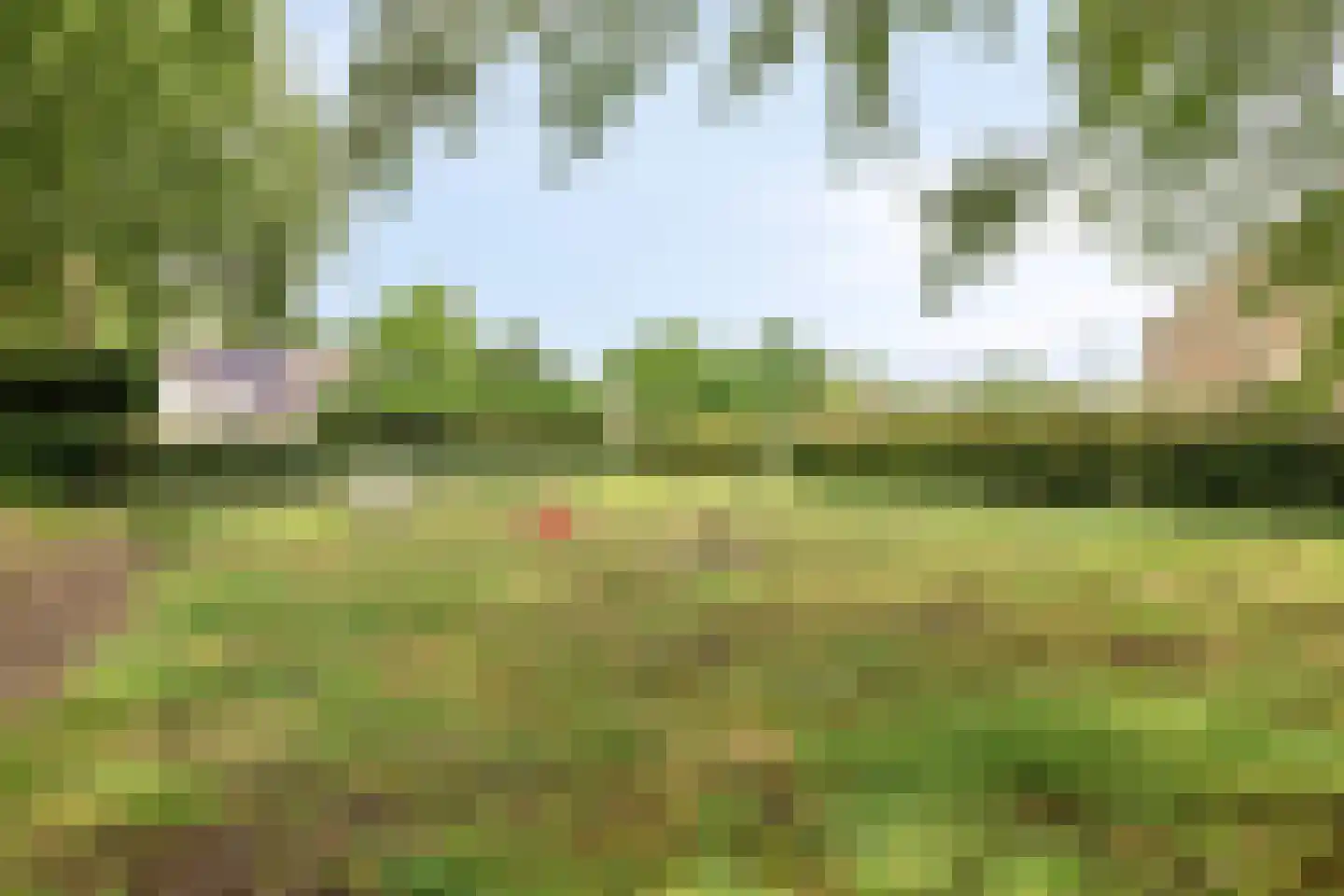 Schout Leytengaarde 24 Nuenen thumbnail 34