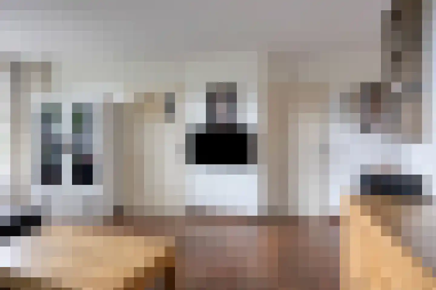 Schout Leytengaarde 52 Nuenen thumbnail 10